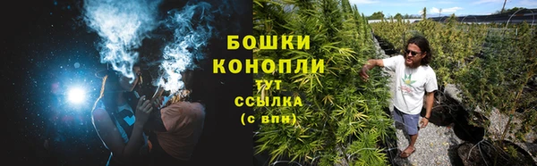 ПСИЛОЦИБИНОВЫЕ ГРИБЫ Абдулино