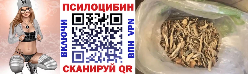 Галлюциногенные грибы GOLDEN TEACHER Абаза